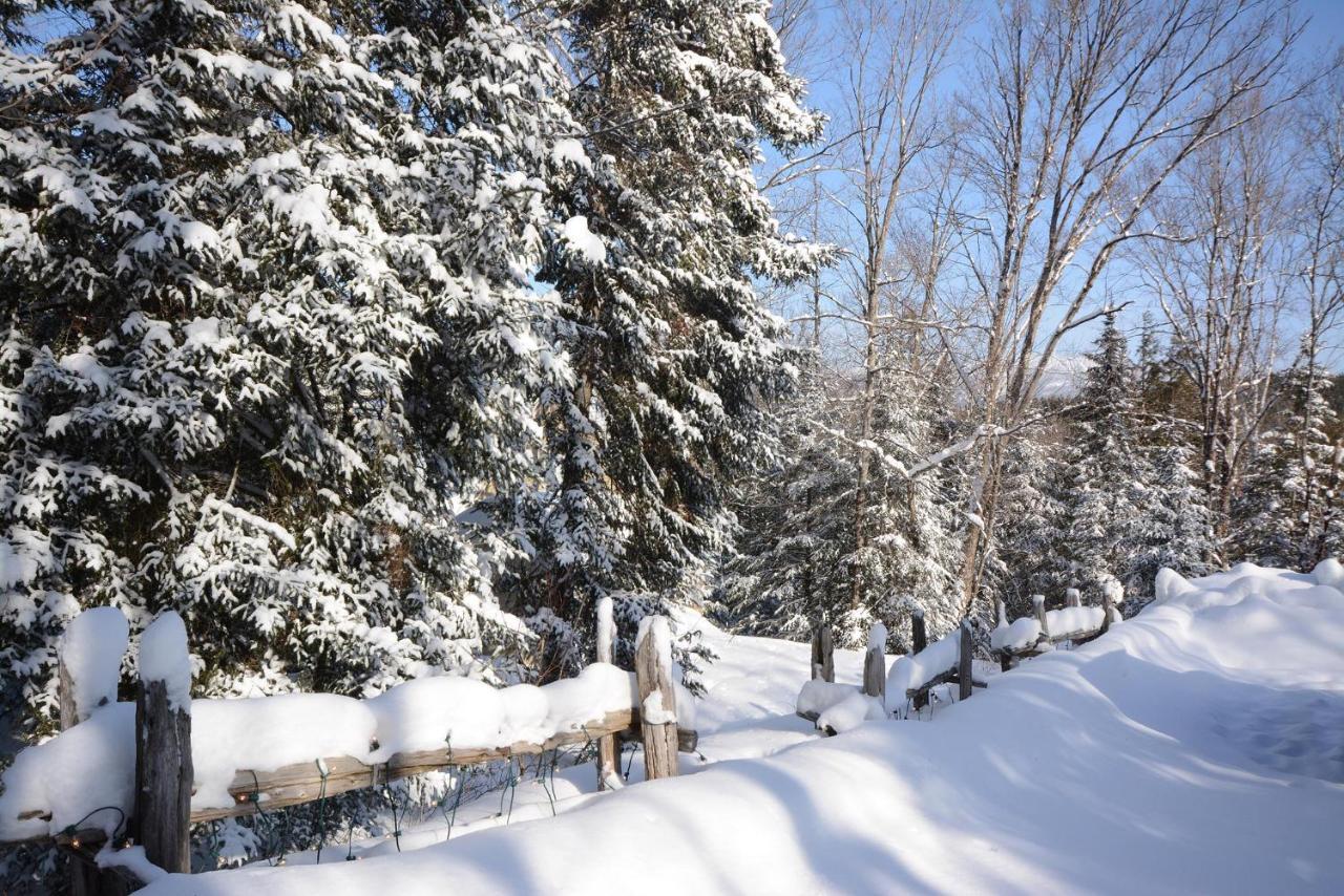 Jardin Du Village By Chez Tremblant Mont-Tremblant Luaran gambar